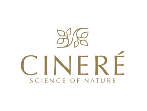 سینره (Cinere)